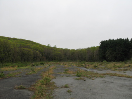 Enlarge photo 35