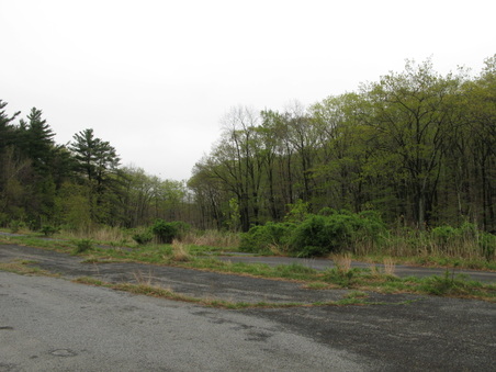 Enlarge photo 33