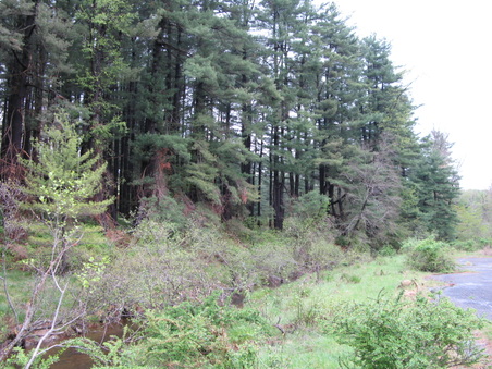 Enlarge photo 58