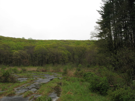 Enlarge photo 40