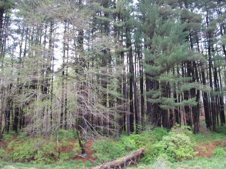 Enlarge photo 57