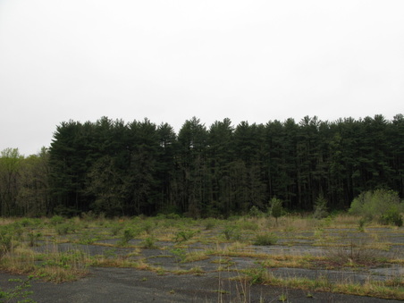 Enlarge photo 56