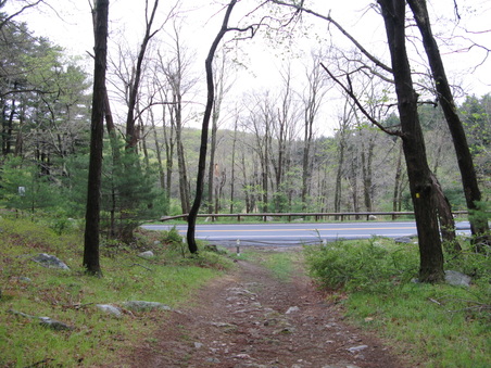 Enlarge photo 54