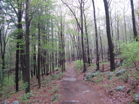 Enlarge photo 53