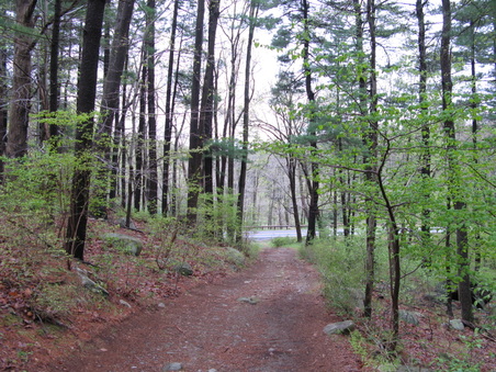 Enlarge photo 52