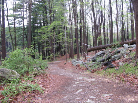 Enlarge photo 51
