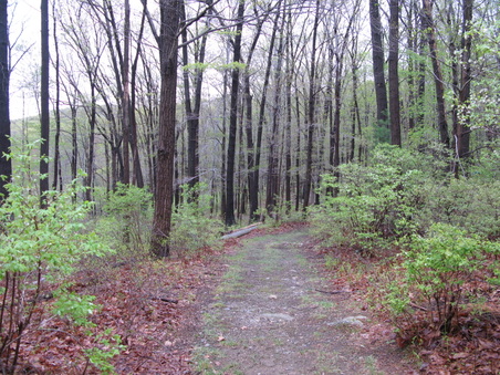 Enlarge photo 49