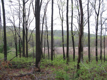 Enlarge photo 47
