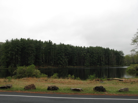 Enlarge photo 45