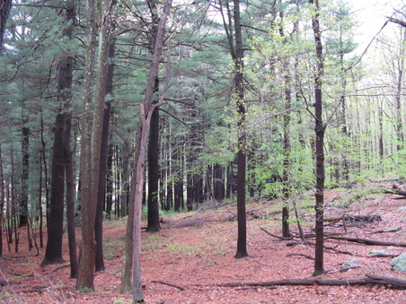 Enlarge photo 43