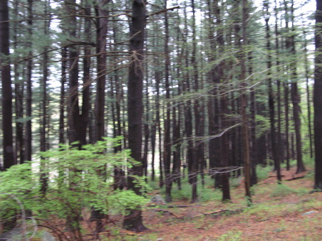 Enlarge photo 42