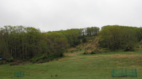 Enlarge photo 31