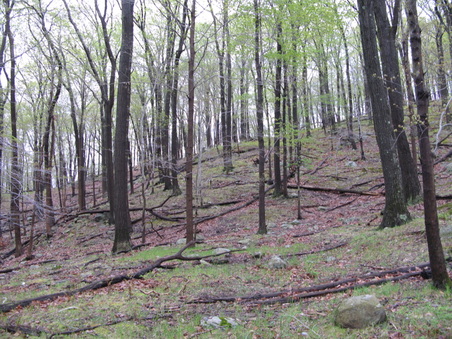 Enlarge photo 28