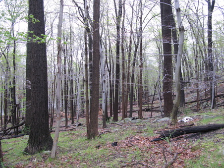 Enlarge photo 27