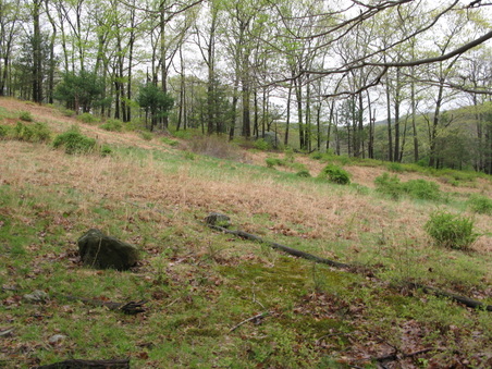 Enlarge photo 24