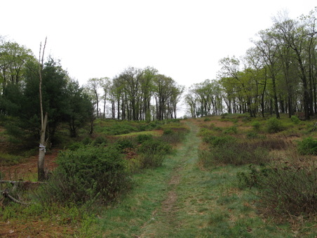 Enlarge photo 20