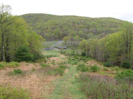 Enlarge photo 19