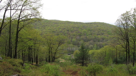 Enlarge photo 14