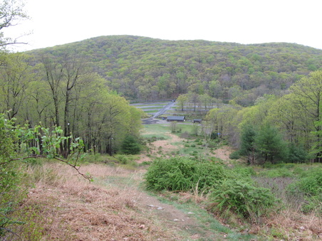 Enlarge photo 10