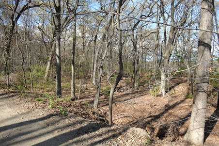 Enlarge photo 4