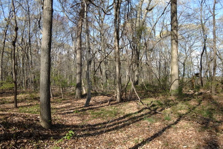 Enlarge photo 7