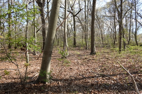 Enlarge photo 9