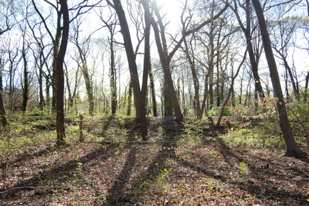 Enlarge photo 10
