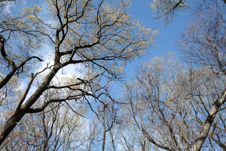 Enlarge photo 11
