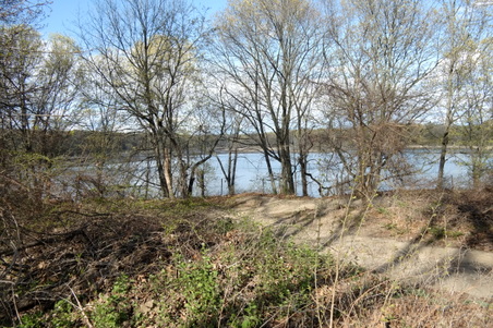 Enlarge photo 13