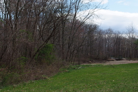 Enlarge photo 2