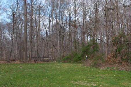 Enlarge photo 5