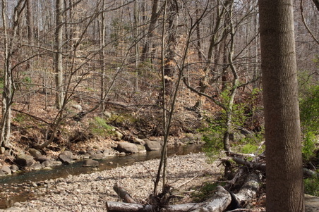 Enlarge photo 20