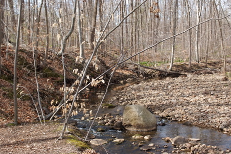 Enlarge photo 21