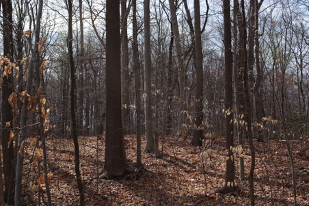Enlarge photo 22