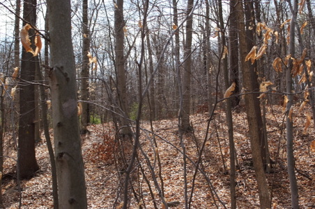 Enlarge photo 23