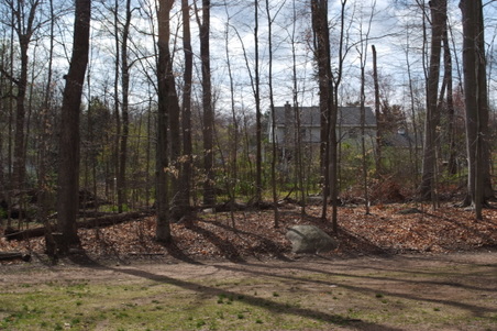 Enlarge photo 8