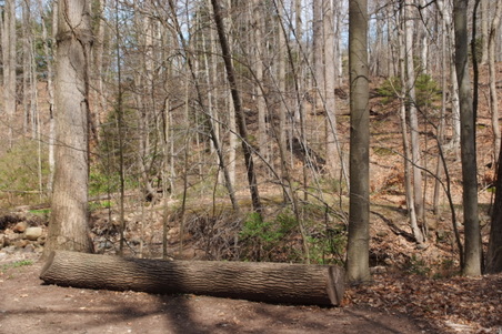 Enlarge photo 10