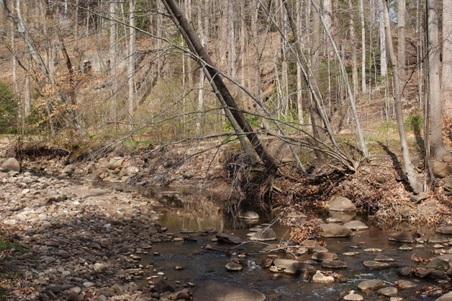 Enlarge photo 12