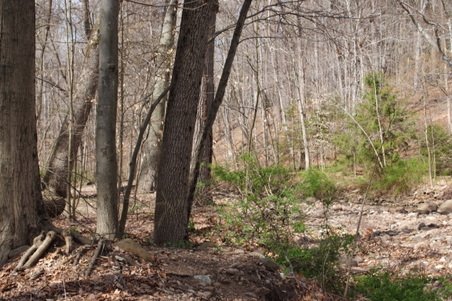 Enlarge photo 13