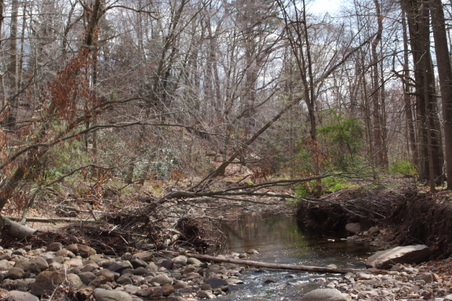 Enlarge photo 16