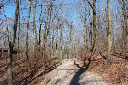 Kauffman Campground- Staten Island