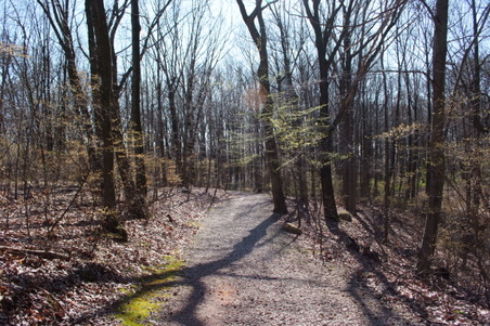 Enlarge photo 2