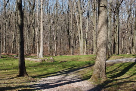 Enlarge photo 4
