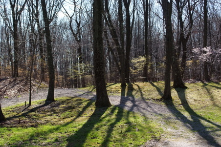 Enlarge photo 7