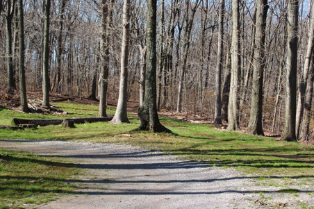Enlarge photo 14