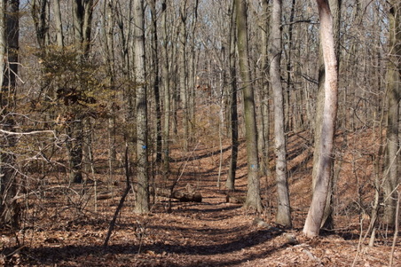 Enlarge photo 17