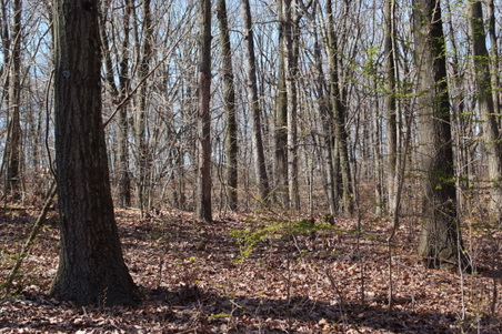 Enlarge photo 19