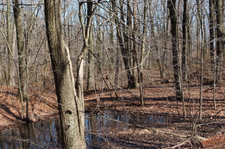 Enlarge photo 20