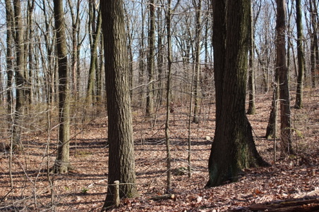 Enlarge photo 21