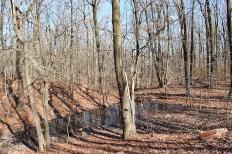 Enlarge photo 24